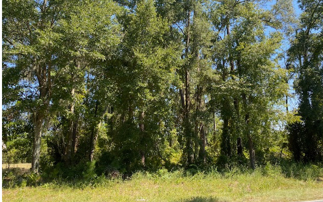 Property view 3